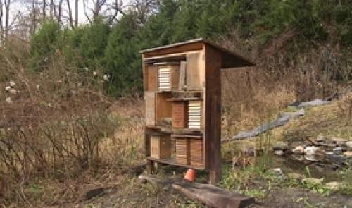 Hôtel pour insectes