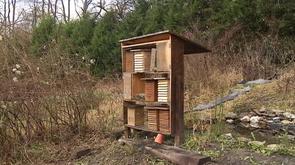 Hôtel pour insectes