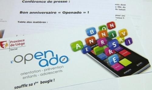 Bilan positif pour l'Openado