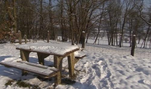 Paysages enneigés et prévisions hivernales