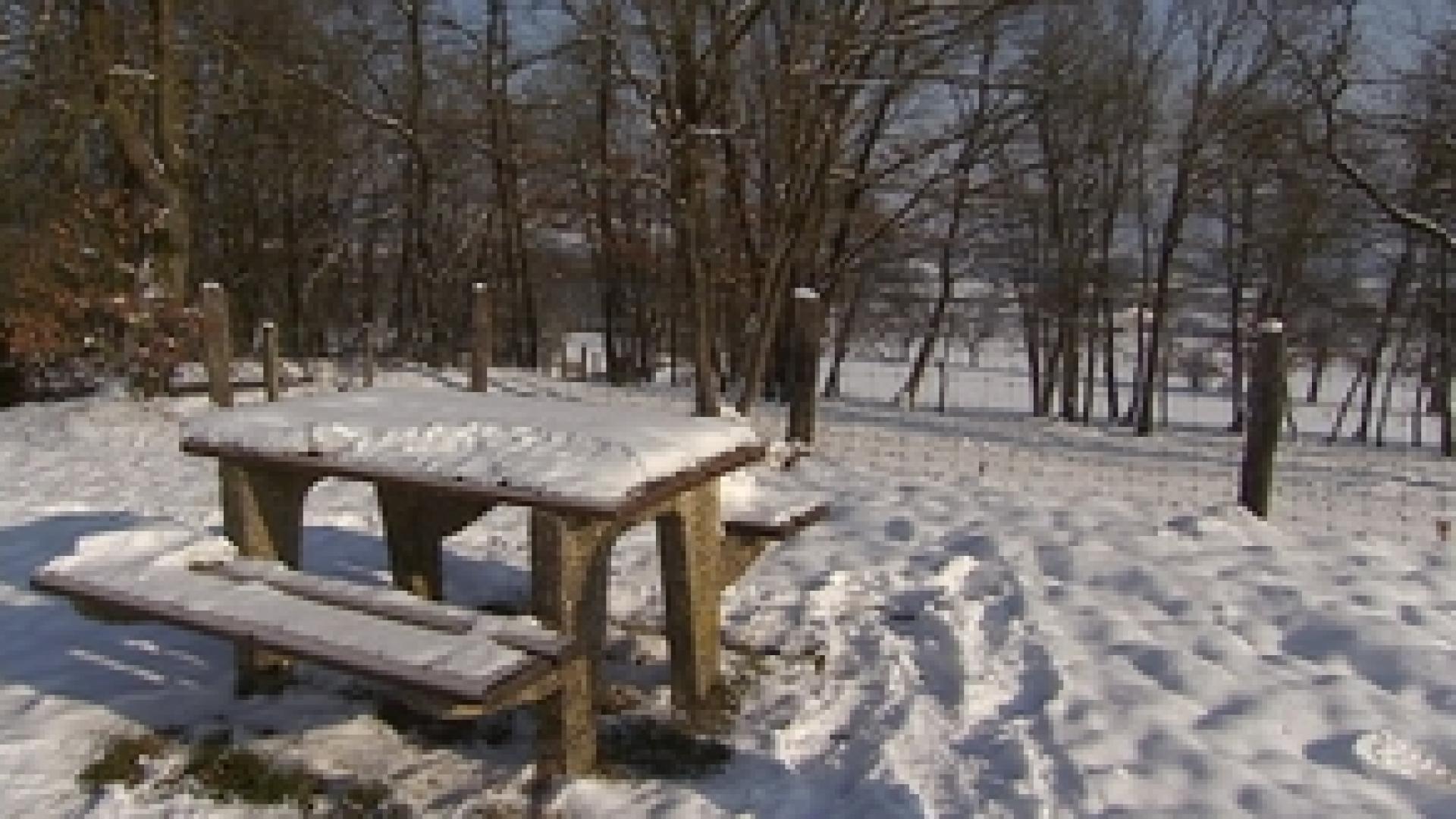 Paysages enneigés et prévisions hivernales