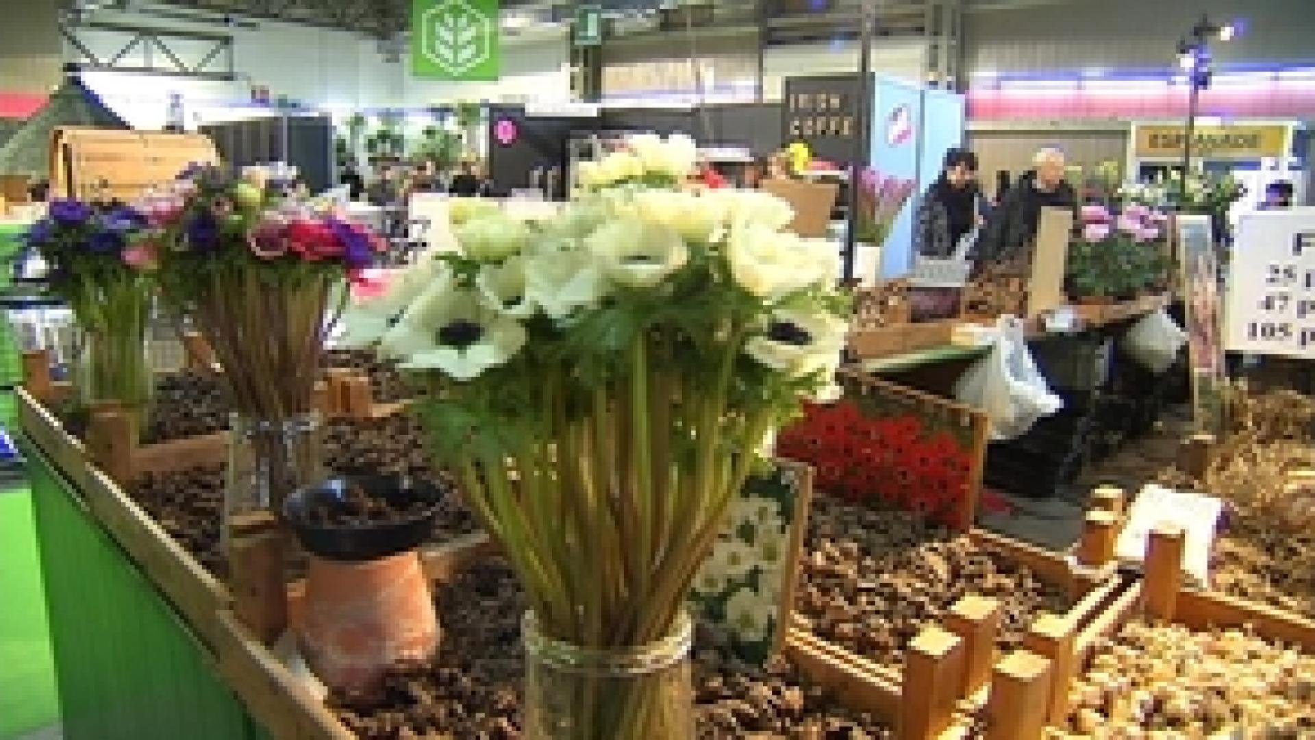 Jardin Expo à la FIL