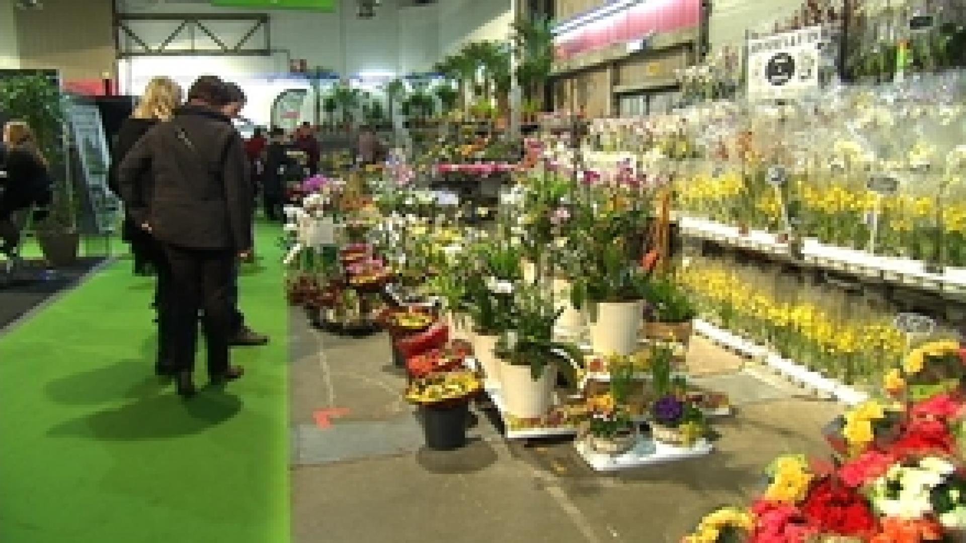 Jardin expo : 20 000 visiteurs