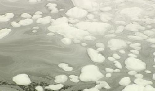 Pollution sur la Meuse