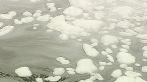 Pollution sur la Meuse