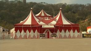 Le cirque Firmin Bouglione s'installe à Liège