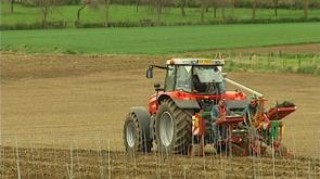 Plantation des vignes du  Vin de Liège 