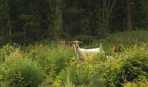 Nouvelle réserve naturelle