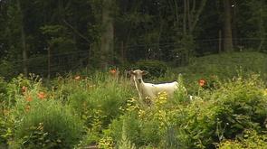 Nouvelle réserve naturelle