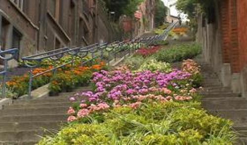 Bueren en fleurs