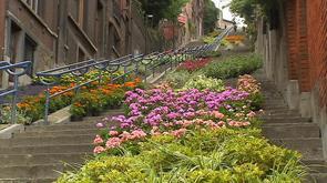 Bueren en fleurs