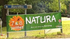 8ème édition de  Natura  dans les bois de Seraing