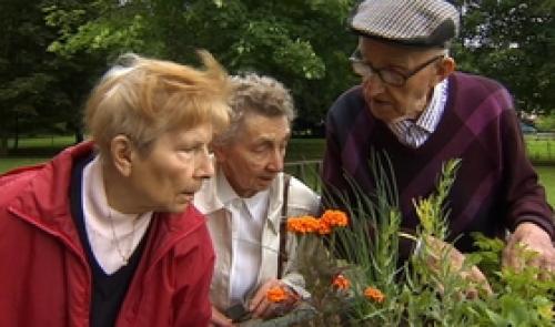 Seniors : les joies retrouvées du potager