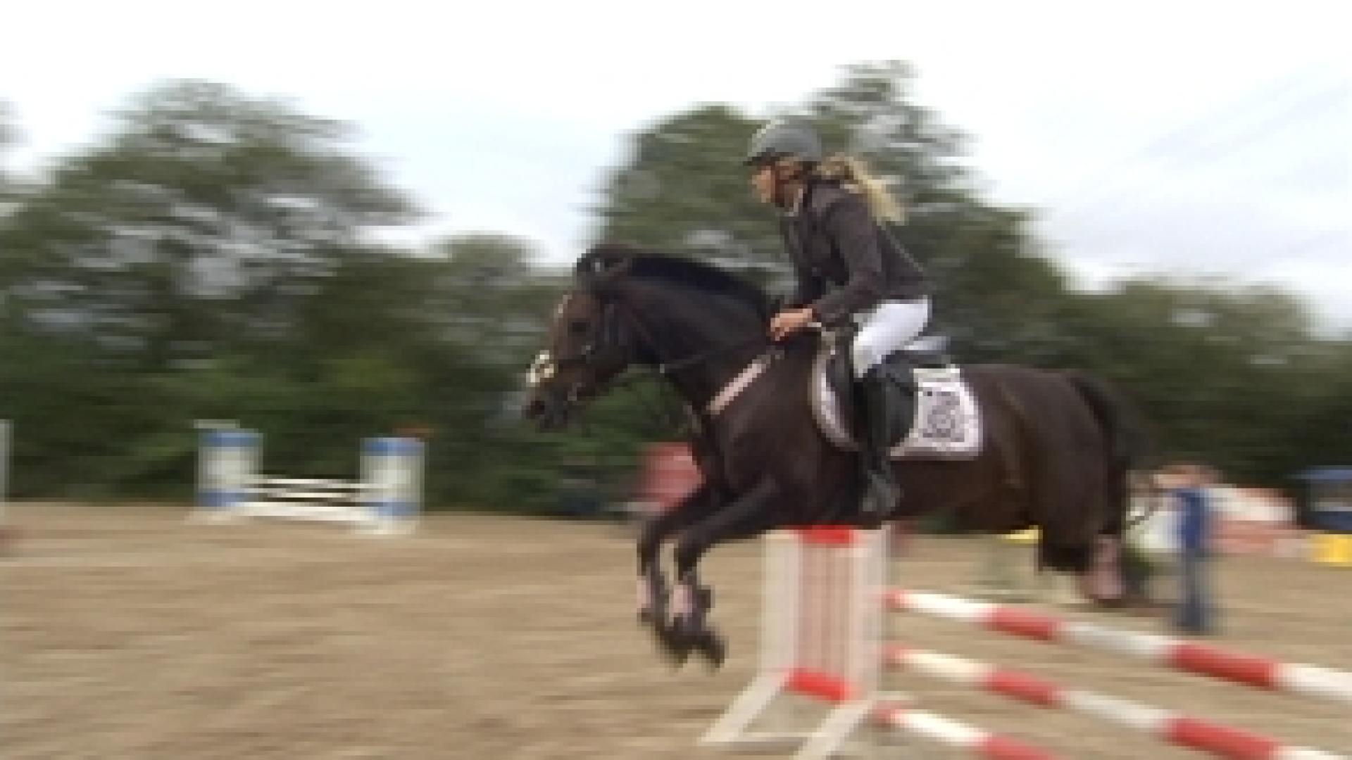 Le jumping de Chaudfontaine déménage à Cheratte