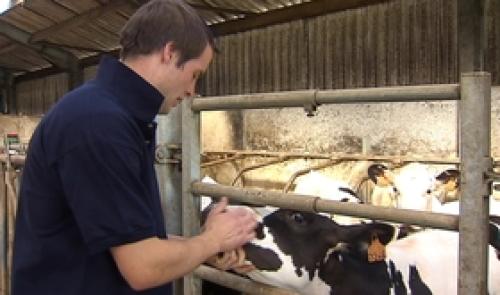 De plus en plus difficile d'être jeune agriculteur