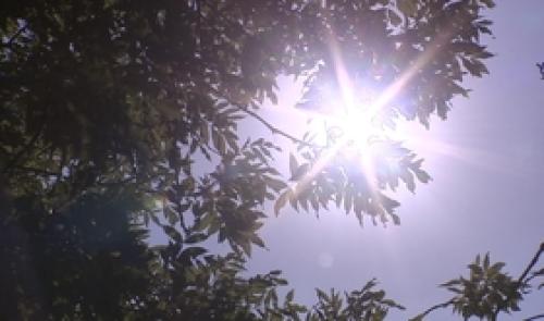 Une belle journée de vacances