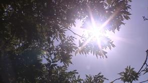 Une belle journée de vacances