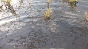 Moxhe : une pollution d'origine agricole ?