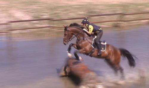 Equitation : concours complet à Marchin
