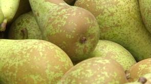 Nouveau procédé pour utiliser moins de pesticides