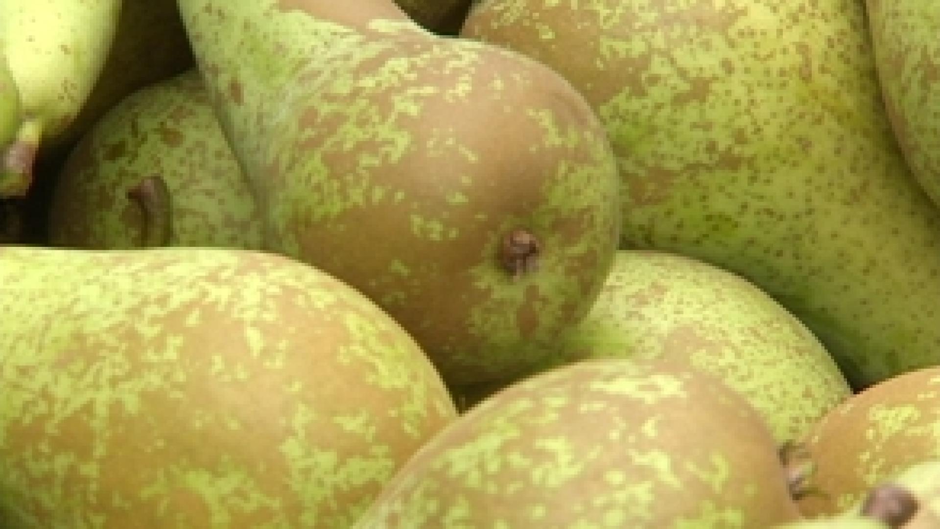 Nouveau procédé pour utiliser moins de pesticides