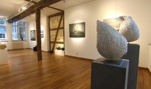 Exposition à la galerie ST Remy.