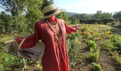 Esneux : portes ouvertes dans un potager