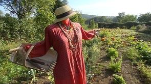 Esneux : portes ouvertes dans un potager