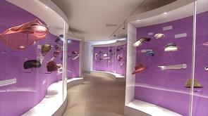 Lancement de l'exposition  Une vie de chapeaux. Un chapeau pour chaque tête? 