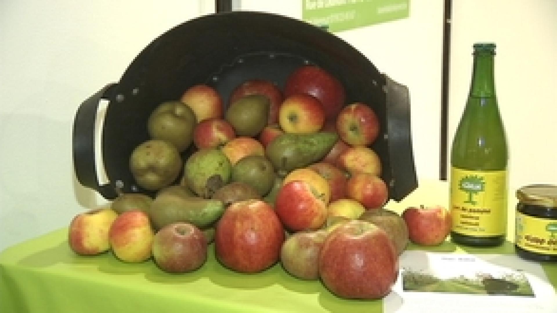 Wanze : salon du développement durable