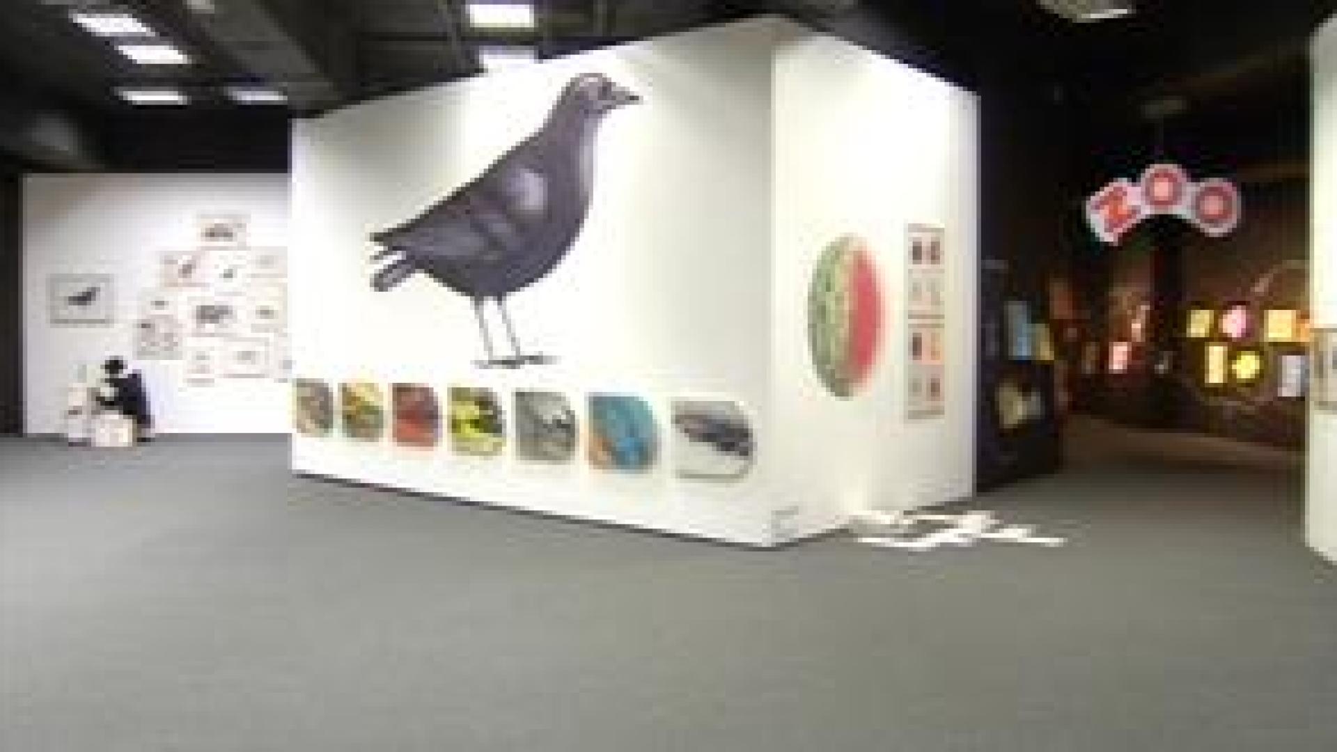 Expo aux Chiroux : de Pittau à Gervais