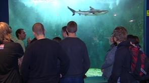 L'Aquarium de l'Université de Liège a 50 ans