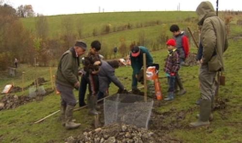 Chantier participatif au verger