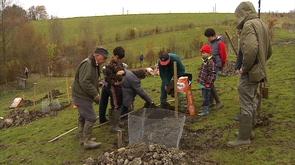 Chantier participatif au verger