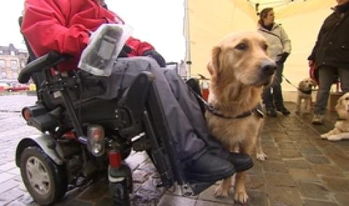 Handicap : un village associatif aux Guillemins