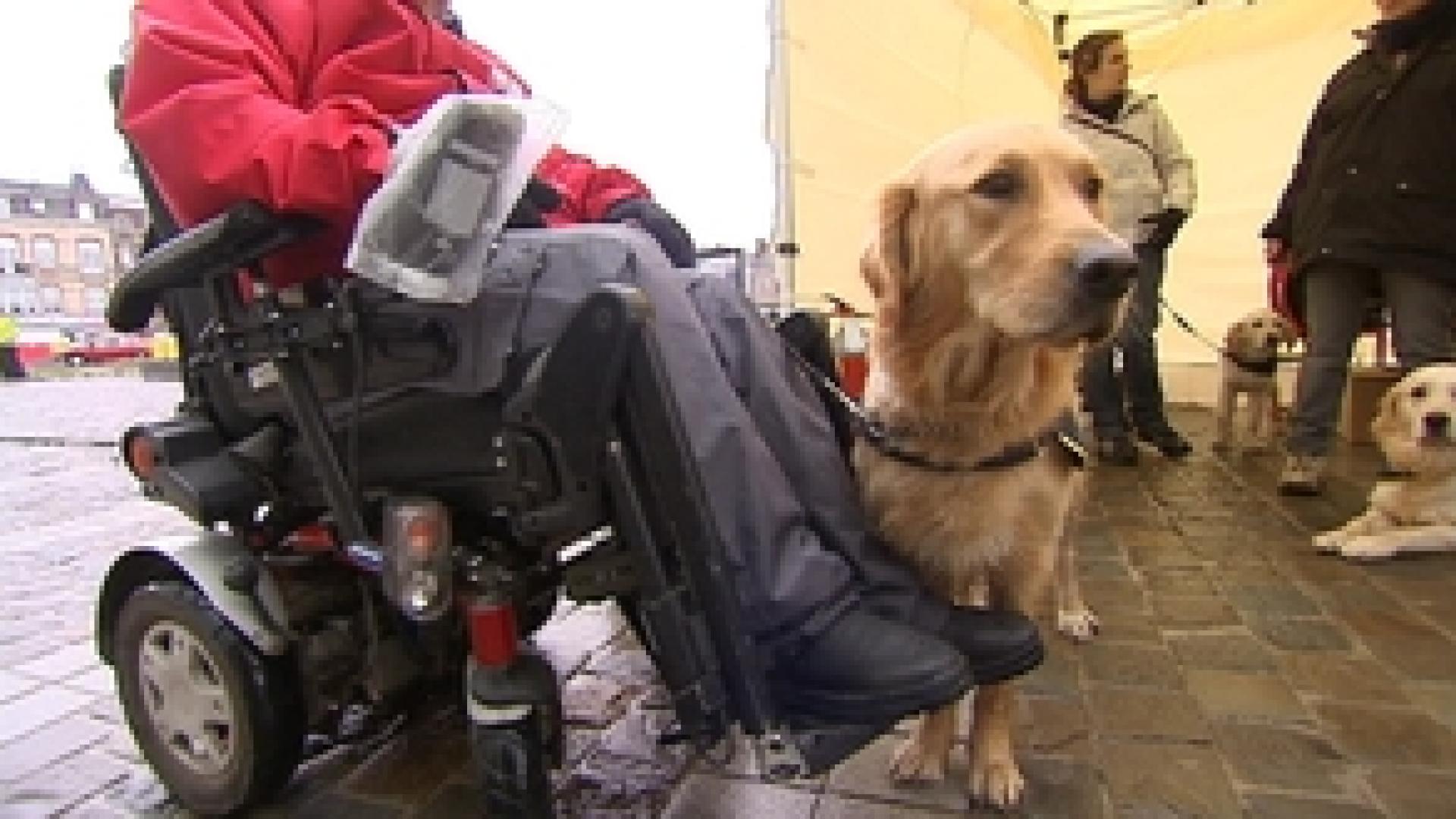 Handicap : un village associatif aux Guillemins
