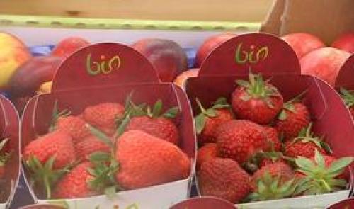 Une coopérative de produits locaux ou bio