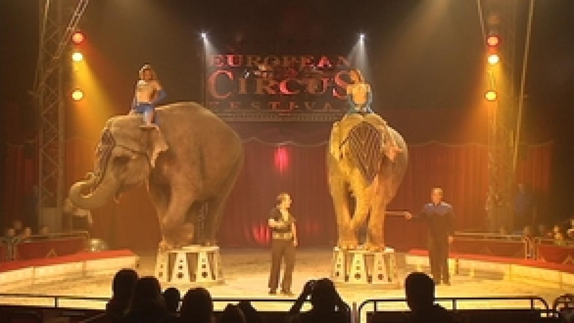 Le festival européen du cirque à Liège