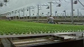 VERDIR : reconversion verte pour le bassin liégeois