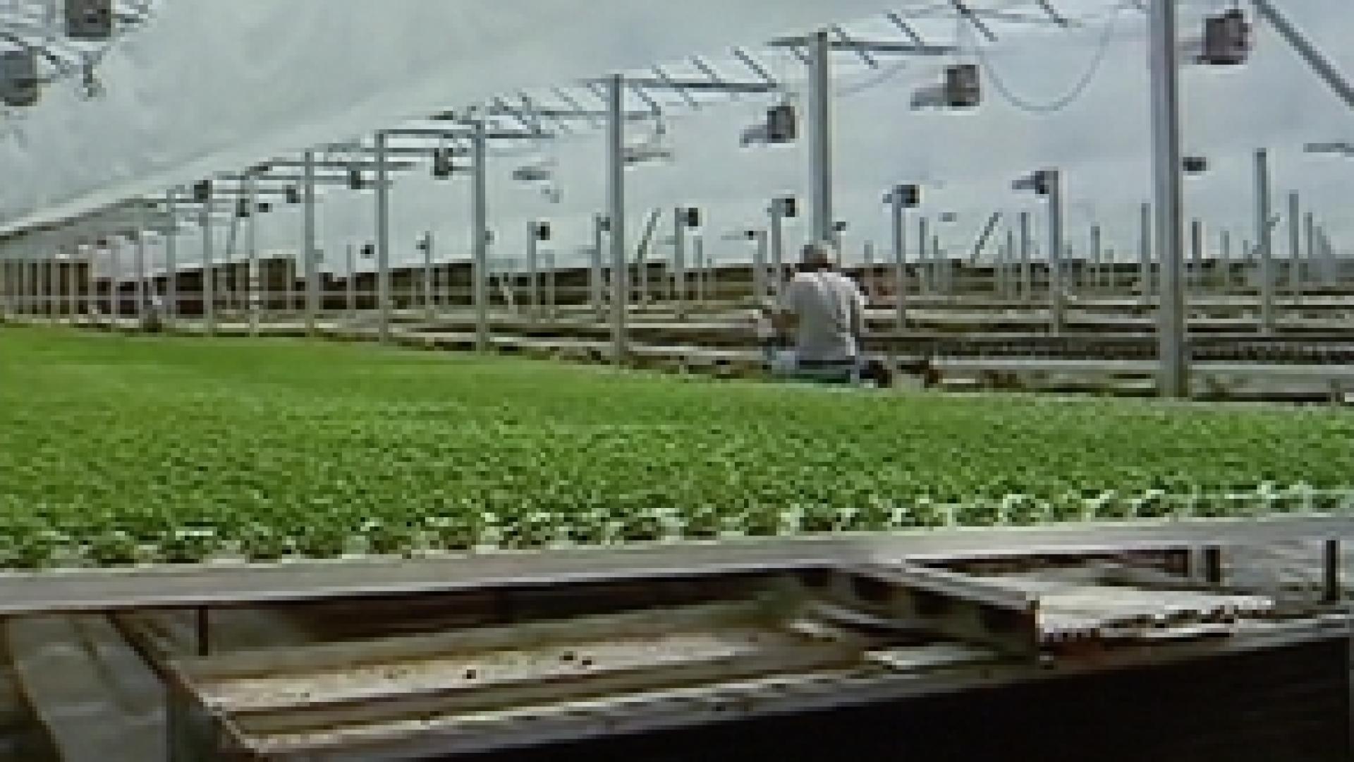 VERDIR : reconversion verte pour le bassin liégeois