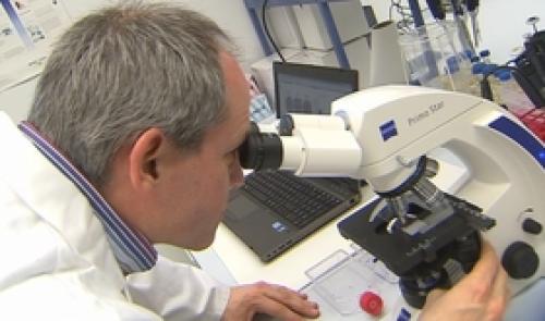 Welbio : soutien aux projets de recherche universitaires