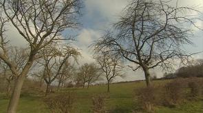 Bassenge : des agriculteurs mécontents