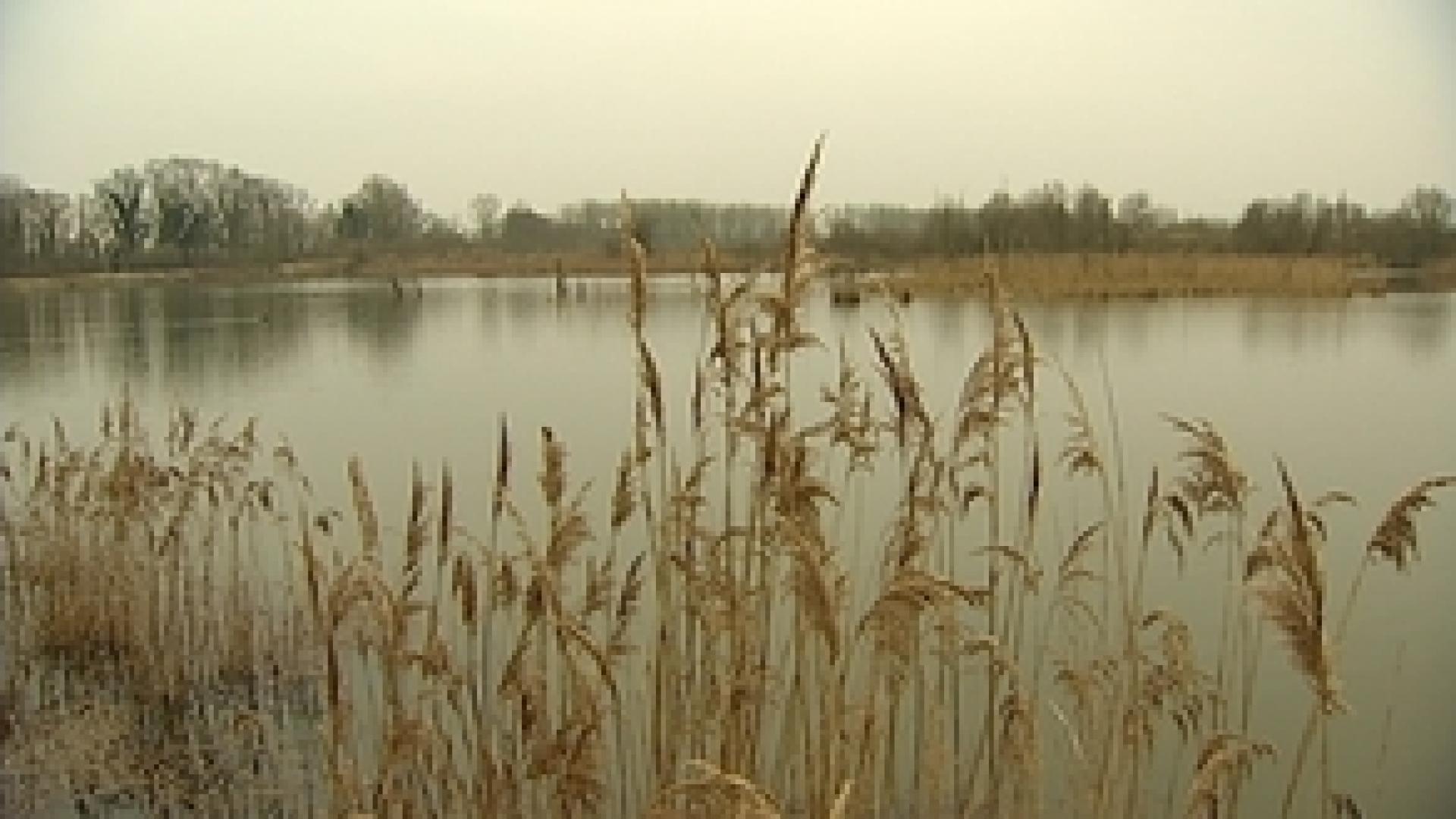 Hollogne-sur-Geer : chantier nature en faveur de la biodiversité