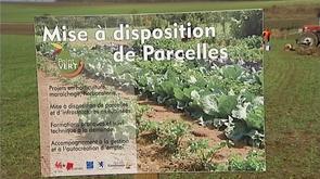 Strée : une couveuse agricole pour candidats maraîchers
