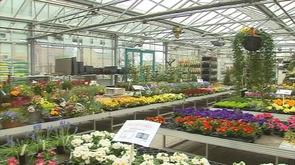 Météo : les jardineries souffrent aussi