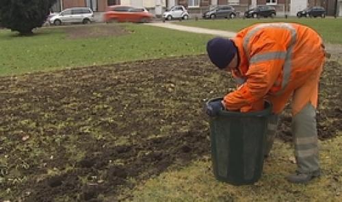 Froid: les plantations de la Ville de Liège souffrent!