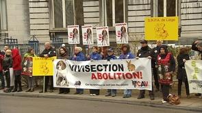 Expériences sur l'animal : opposants
