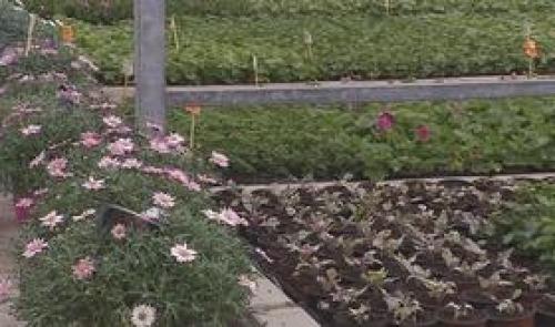 6ème édition des journées  HortiDécouvertes 