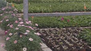 6ème édition des journées  HortiDécouvertes 
