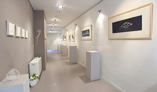 Liège : Traces Galerie ouvre ses portes